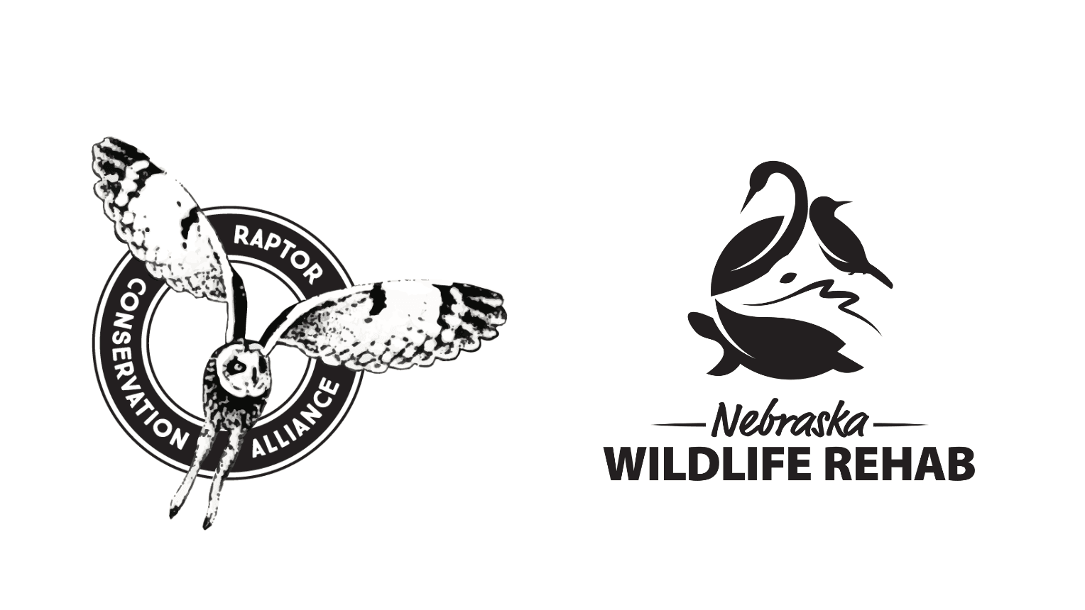 raptor conservation alliance nebraska