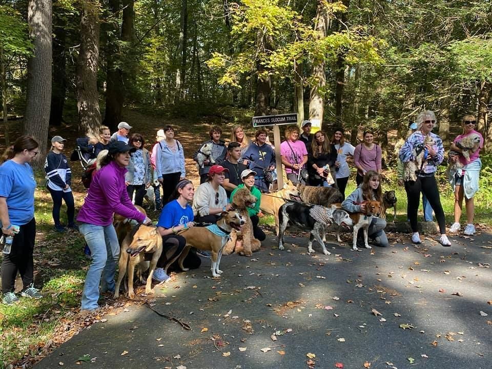 34th Annual Walk for the Animals