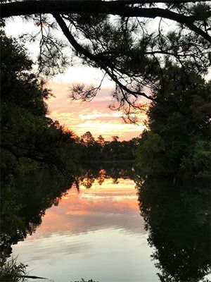 Sunrise at Kickerillo-Mischer Preserve