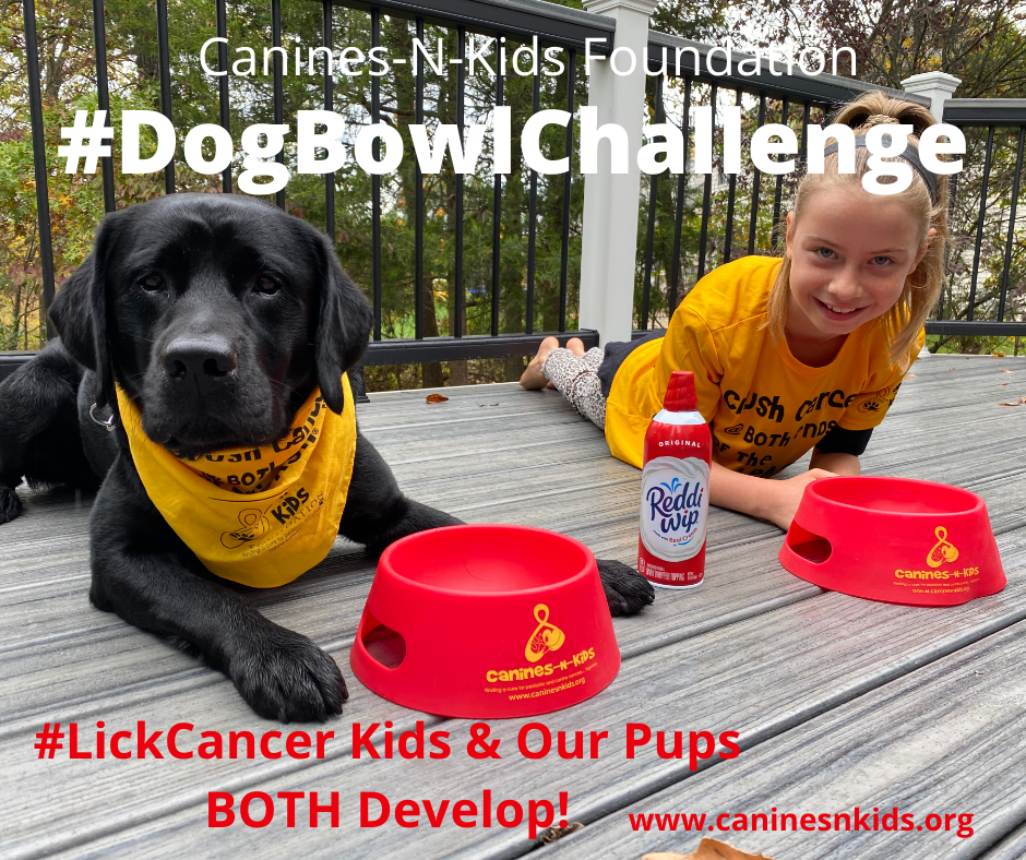 Canines-N-Kids Foundation Launches Viral Dog Bowl Challenge to Help #LickCancer