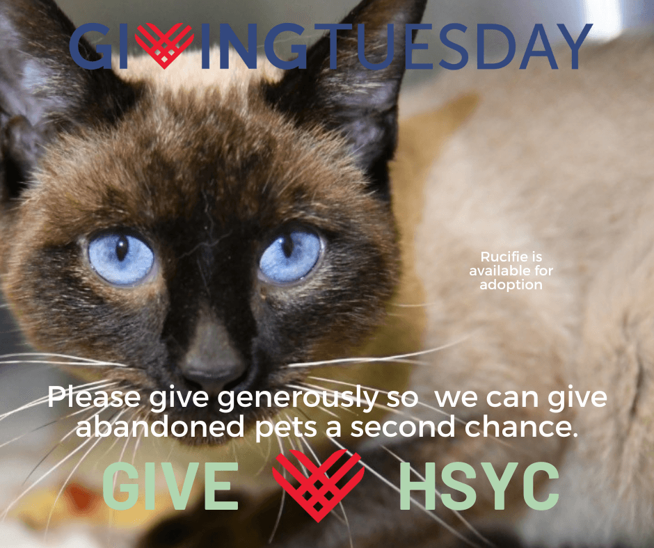 http://tinyurl.com/HSYCGivingTuesday2017