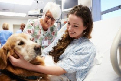 child in hospital bed with dog