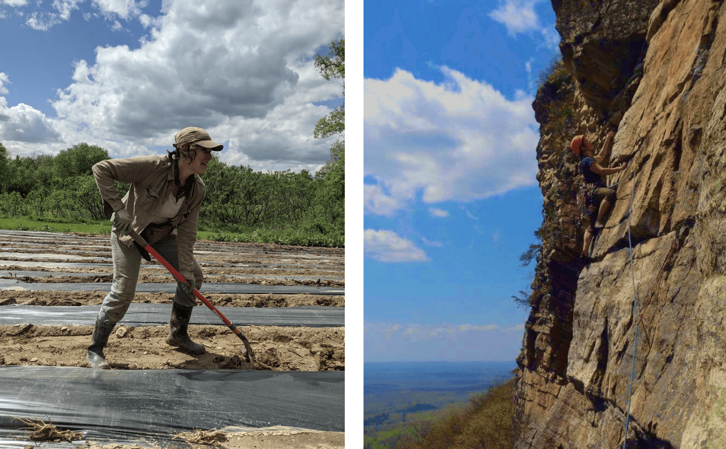 Meet the Phillies Bridge Apprentices