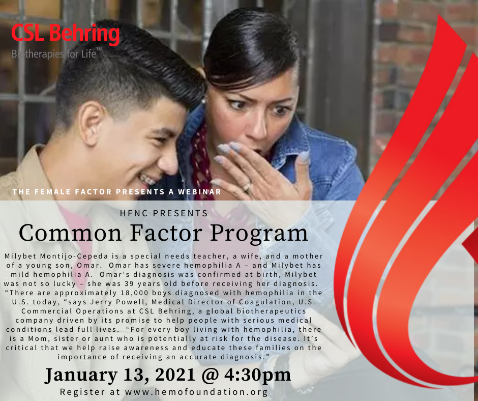 Common Factor Program