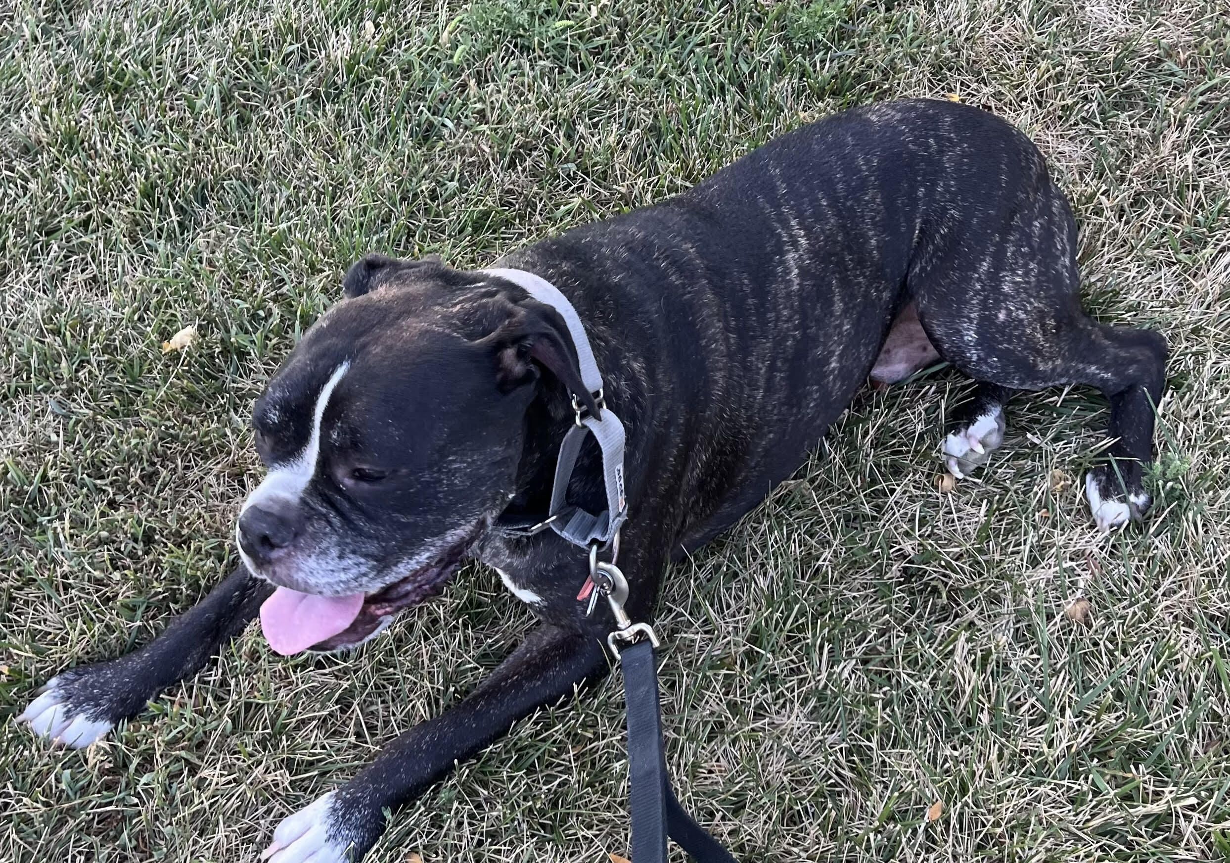 Winston