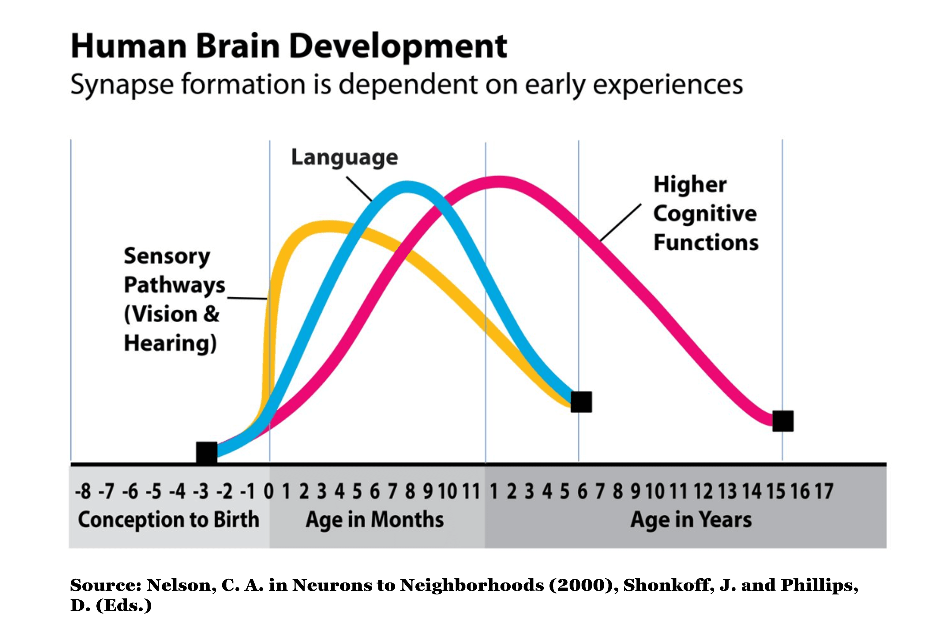 Cognitive development age clearance 3