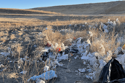 Landfill Volunteer Cleanup Project Dec 2023