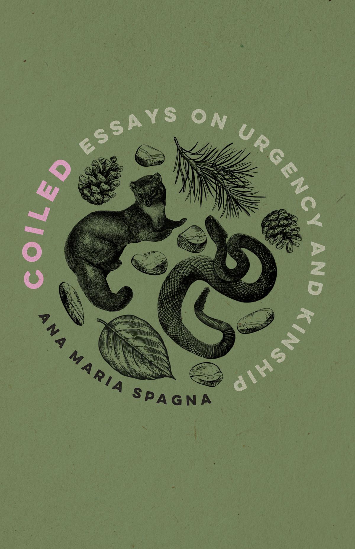 Book cover graphic of Coiled by Ana Maria Spagna.