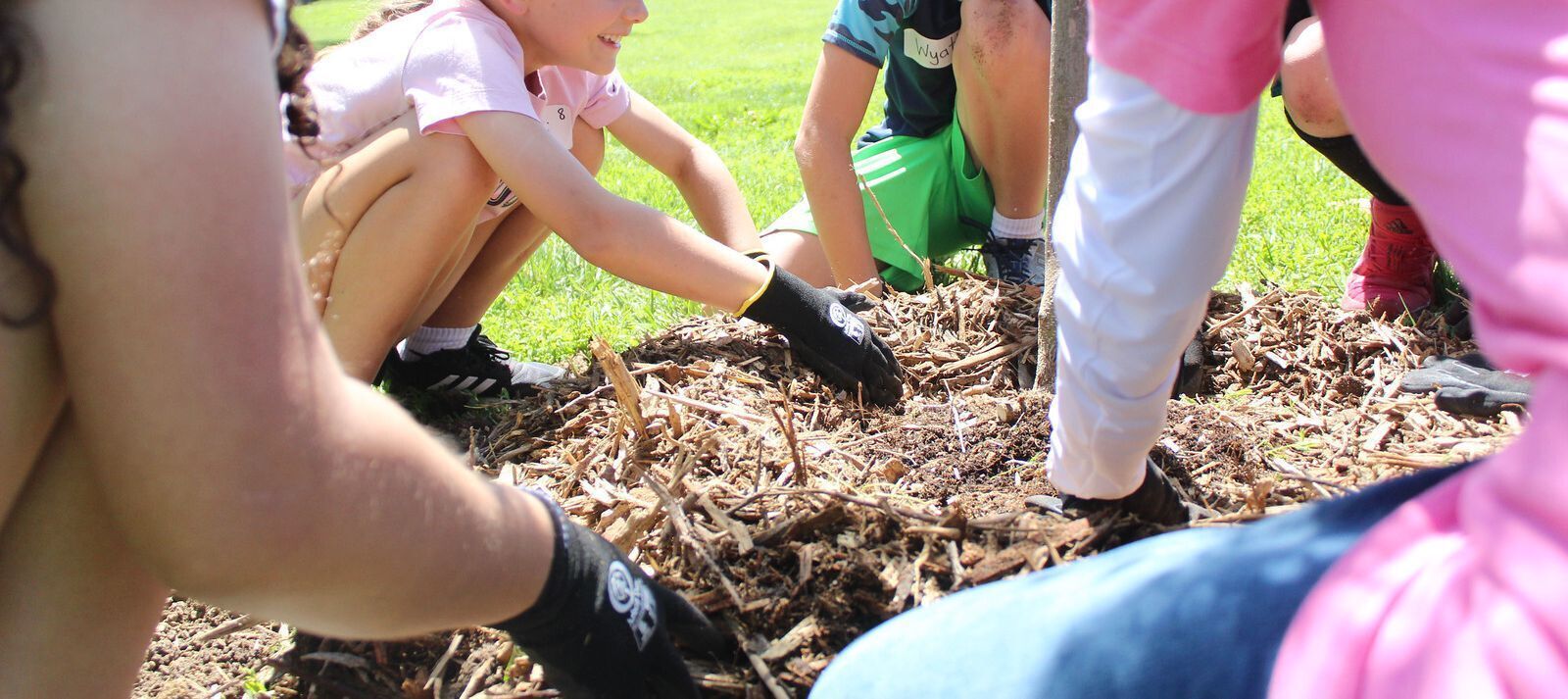 group of students planting a tree