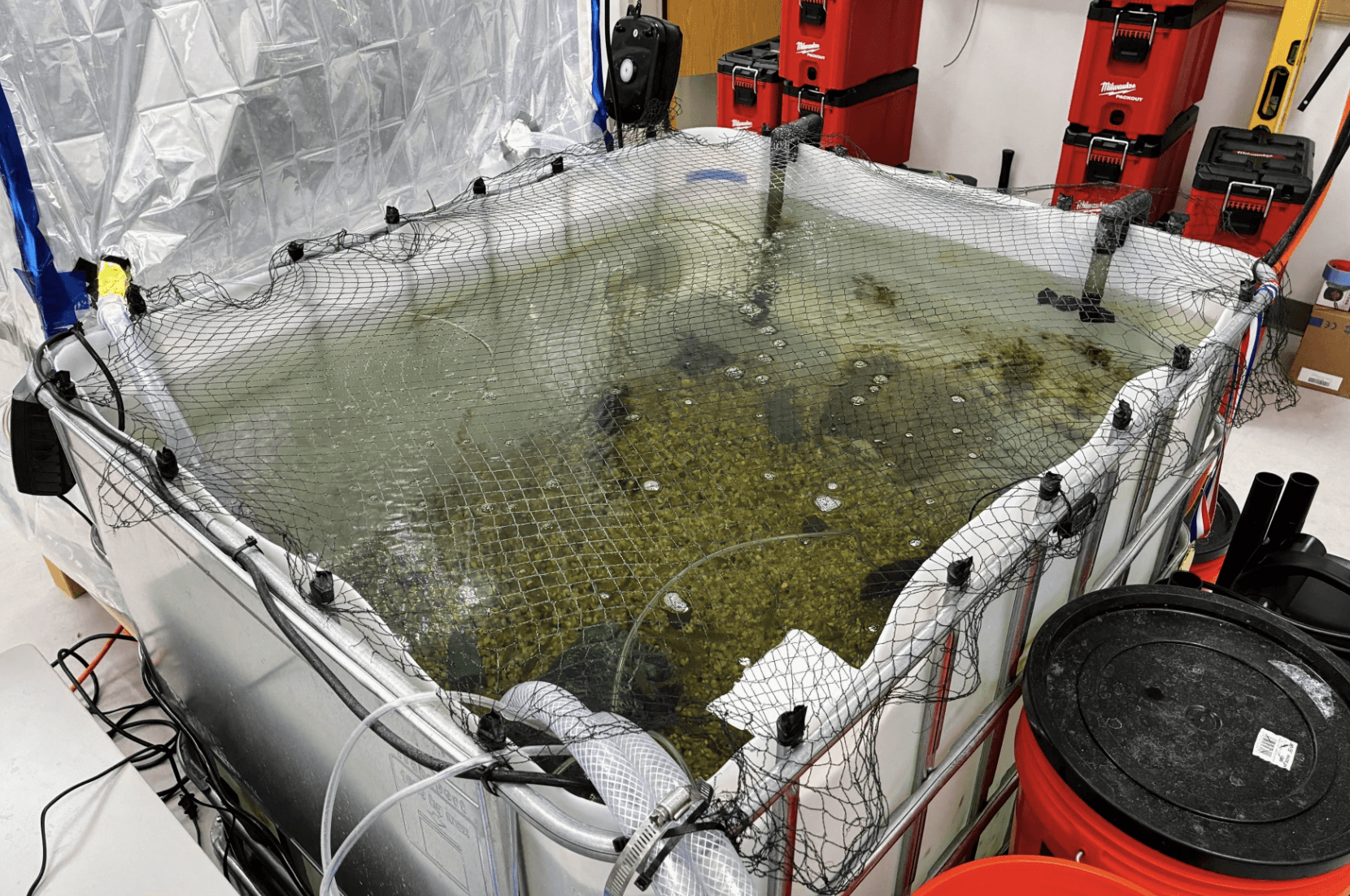 Park City Students Refine Aquaponics, Architecture Projects Ahead of National Competition