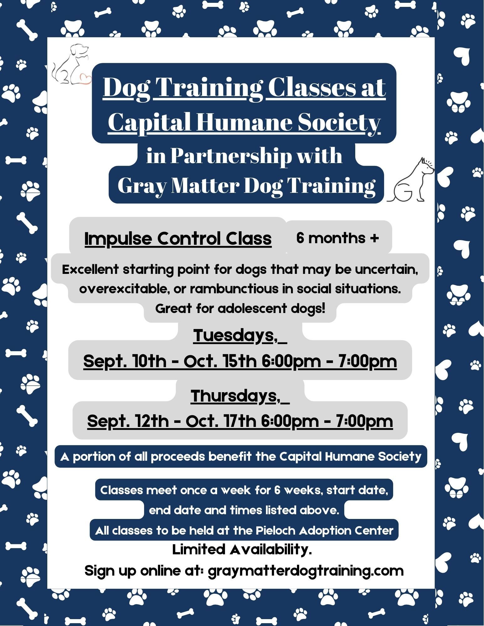 Dog Obedience Classes