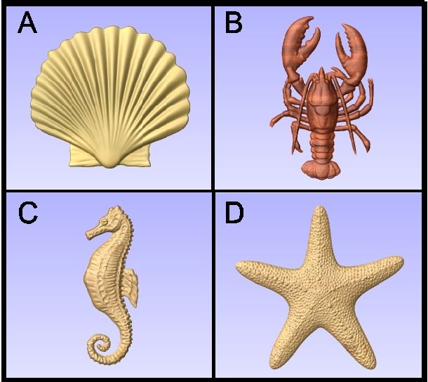 L22620 - 3-D Carved Marine Animals (Seahorse, Starfish, Shell and Lobster)