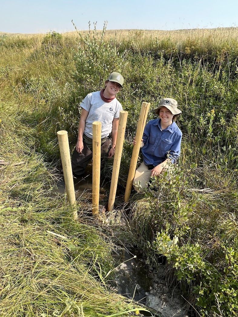 Two members squat by a beaver dam analog they built