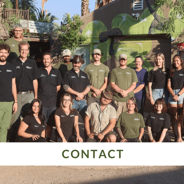 About Us : About : Phoenix Herpetological Society