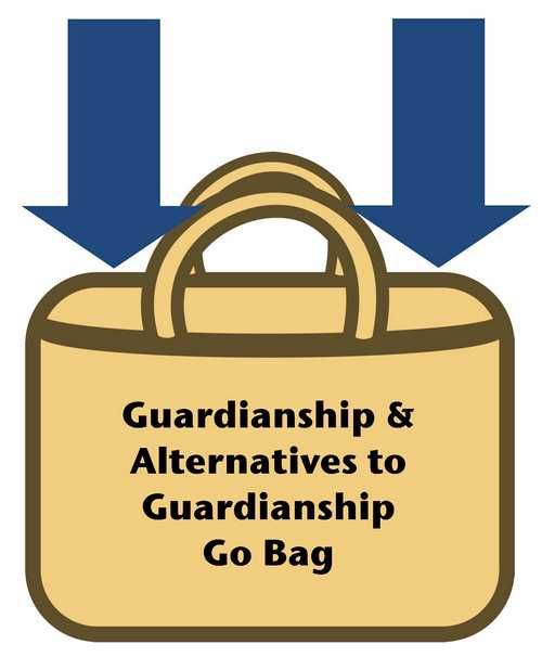 Guardianship & Alternative Options Go Bag