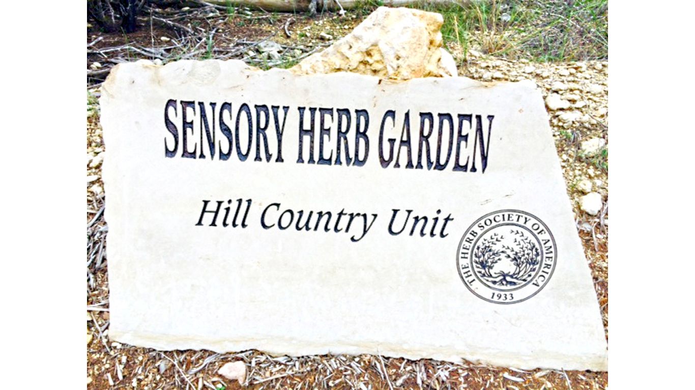 Sensory Garden 4