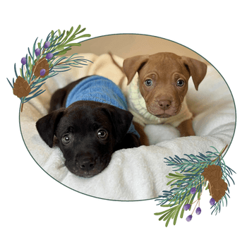 Generosity Warms the Holiday Season