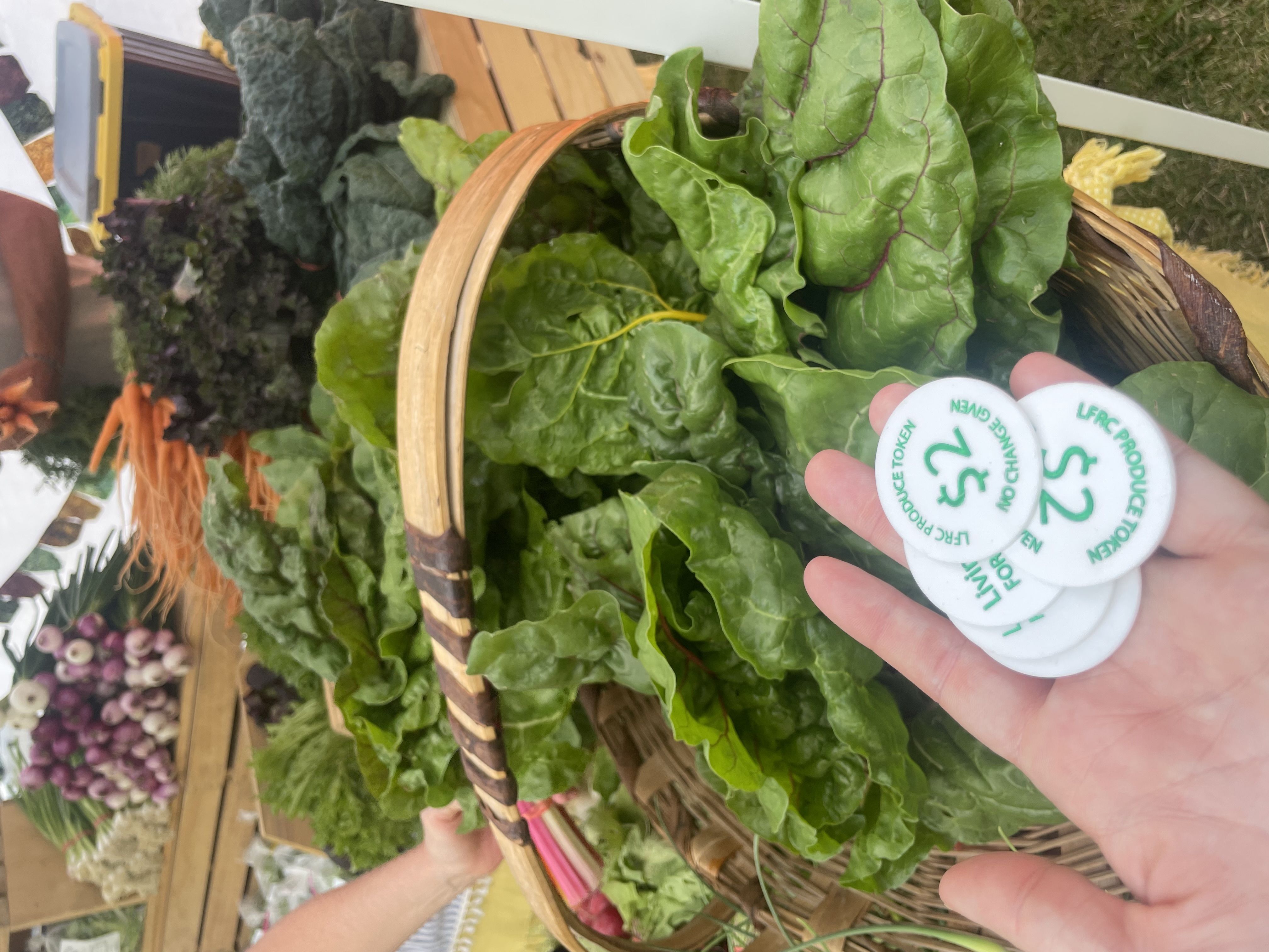 A Market with Meaning: How Your Support Nourishes Livingston