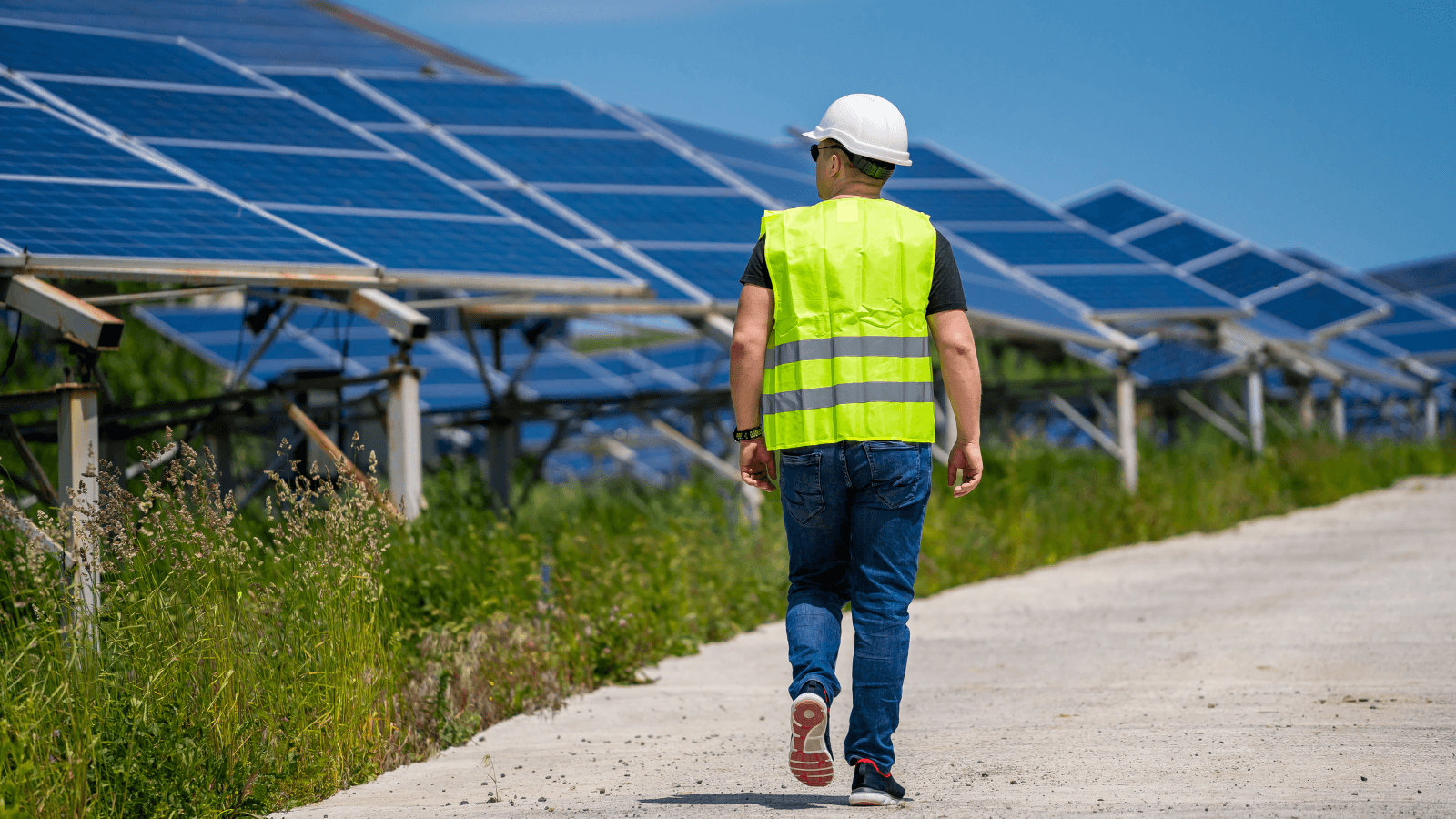 Man walking next to row of solar panels on sunny day