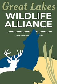 Wilderness Alliance Logo