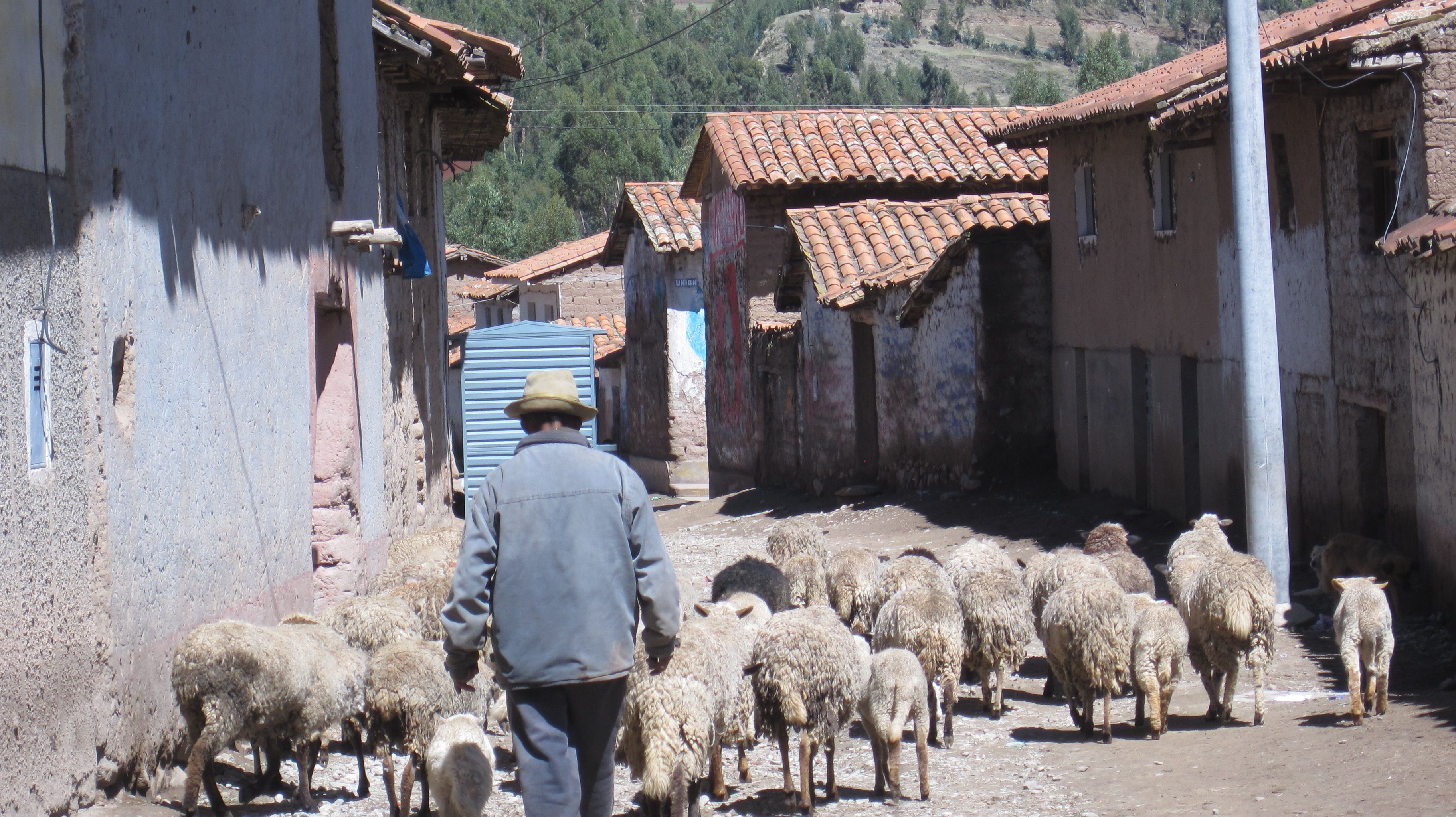 Pomacanchi, Cusco (Peru)