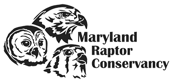 Maryland Raptor Conservancy
