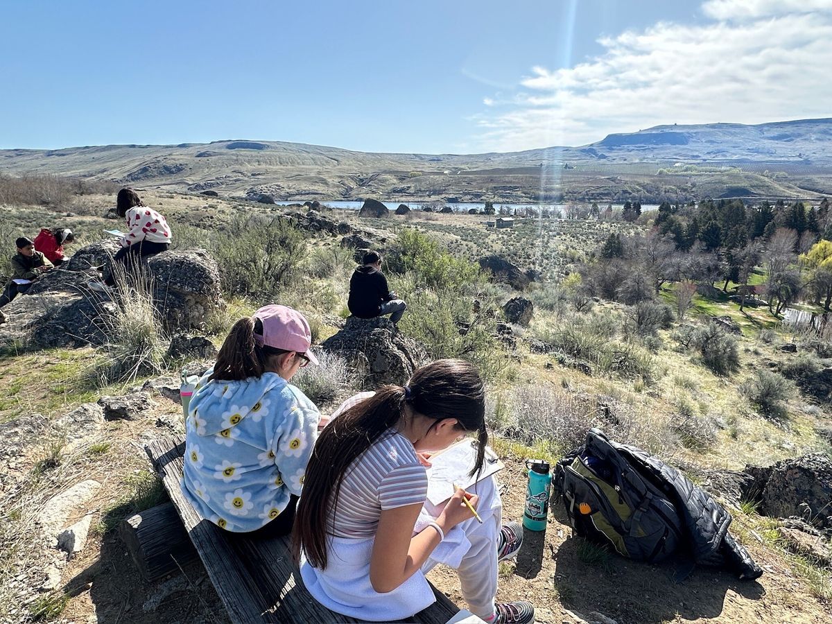 A group of students sit on rocks and benches bent over their nature journals making their observations.