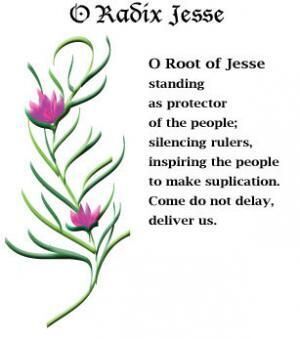 Daily Prayer December 19