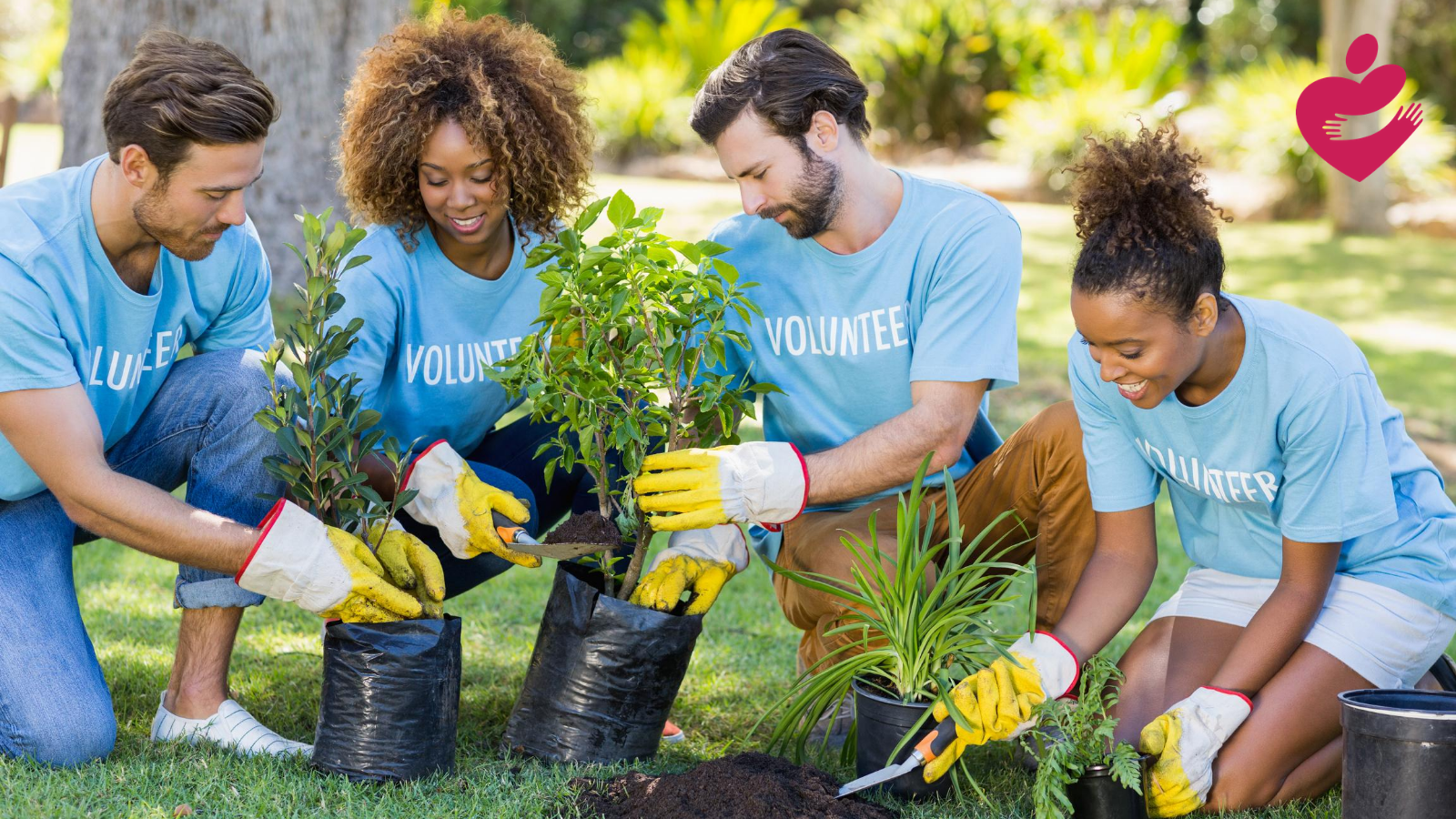 volunteering pictures