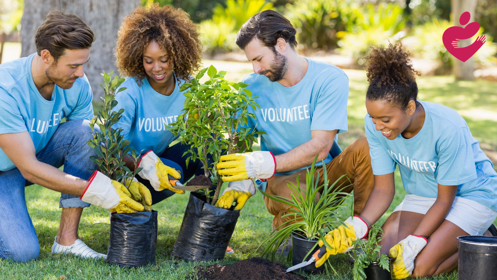 Volunteering Pictures