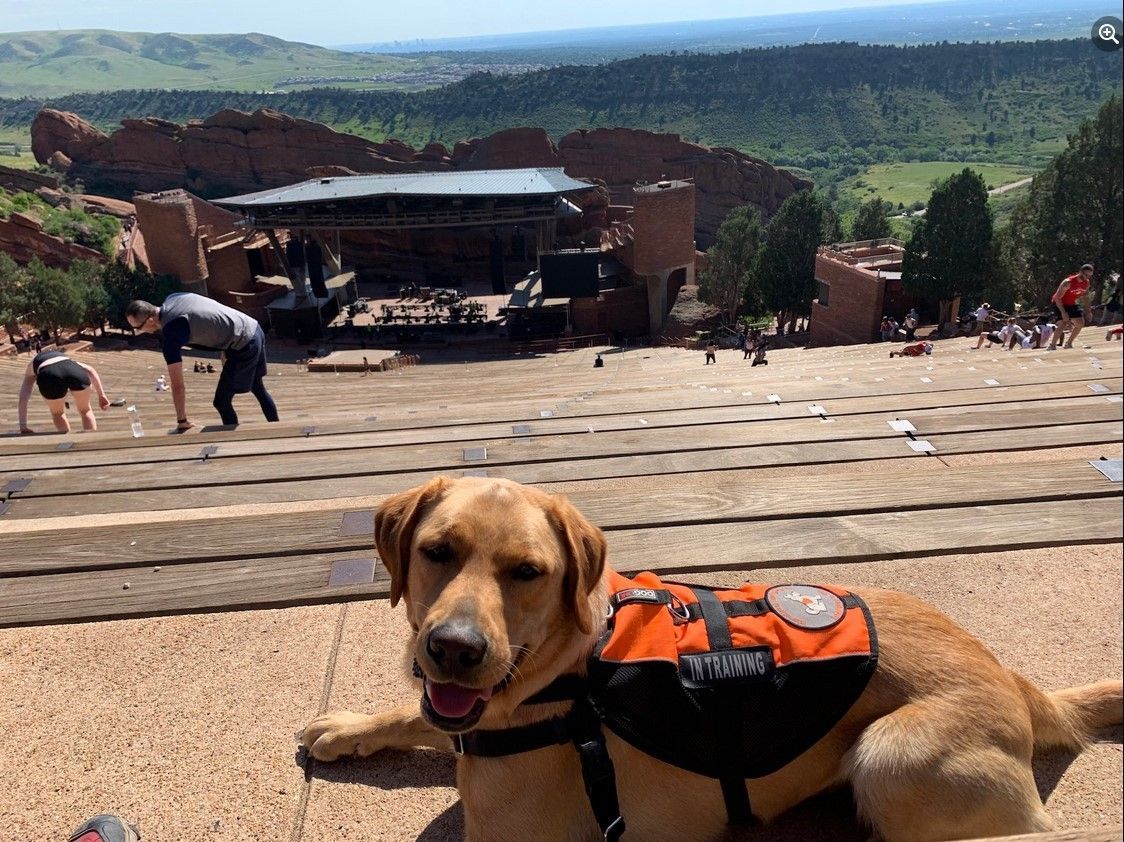 Weekend foster at Red Rocks