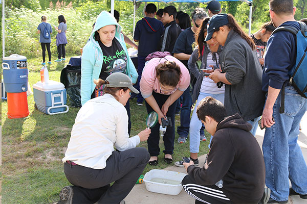 Birding and BioBlitz Results