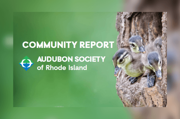 Discover the Audubon Impact in Your Community: