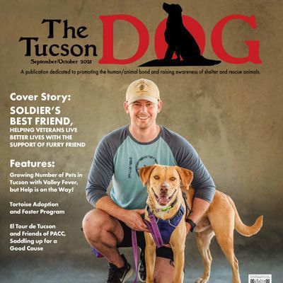 The Tucson Dog
