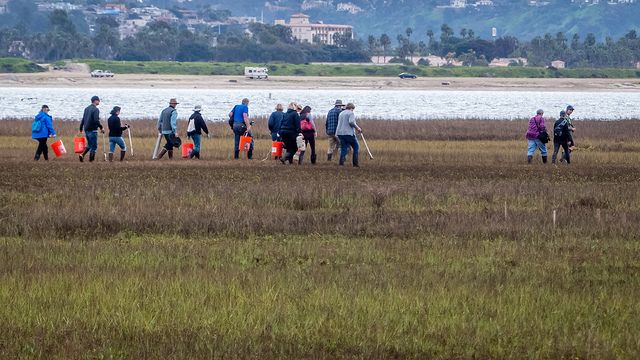 Wander the Wetlands