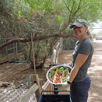 Internships Southwest Wildlife Conservation Center