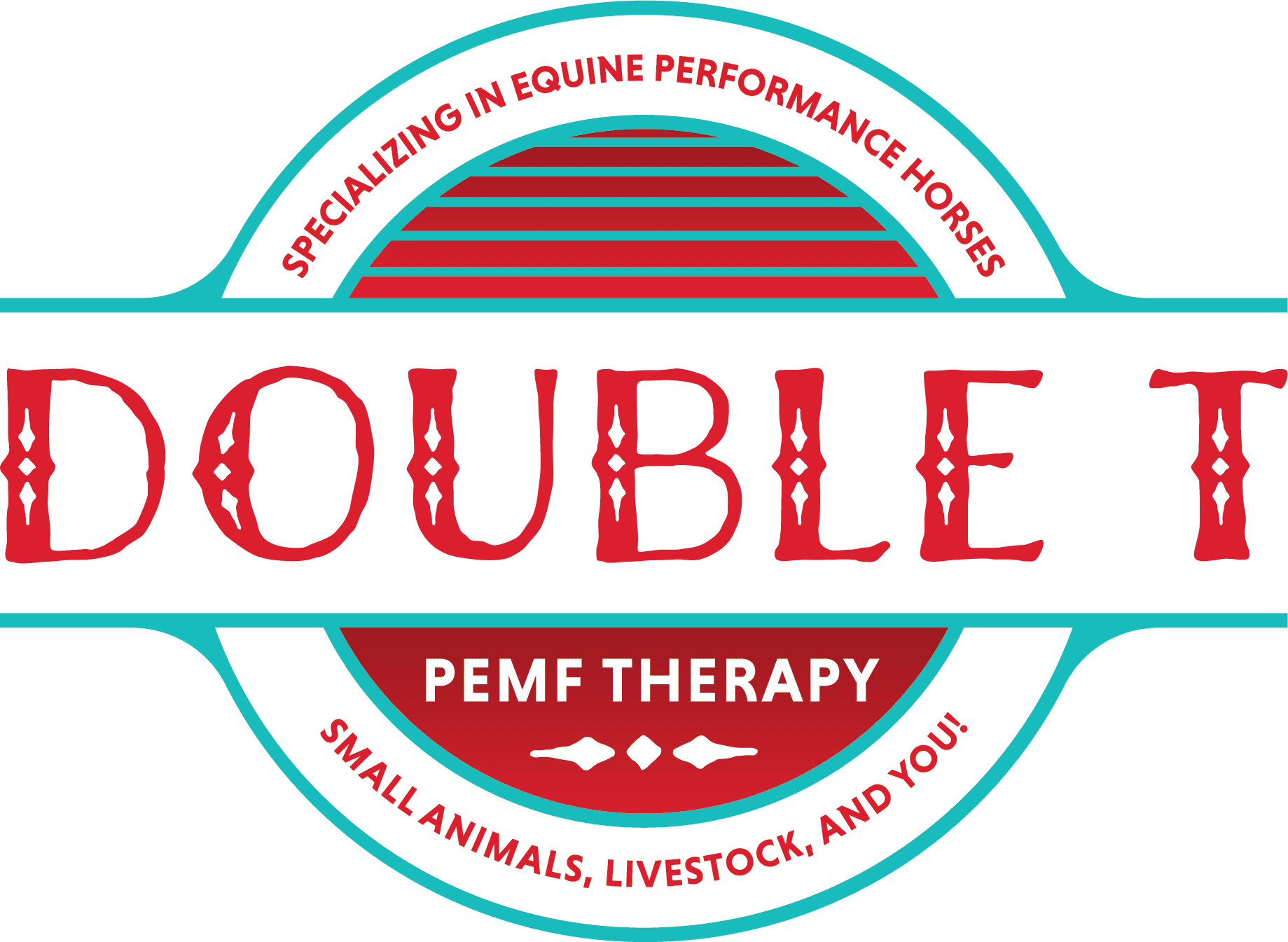 Double T PEMF Therapy