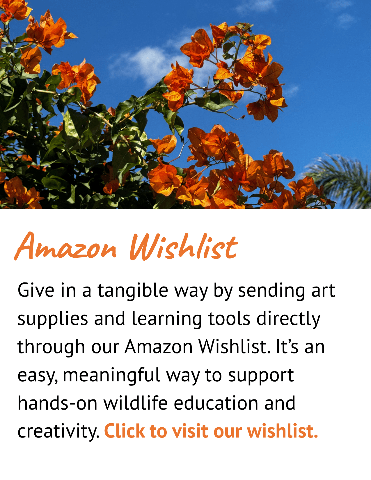 Amazon Wishlist