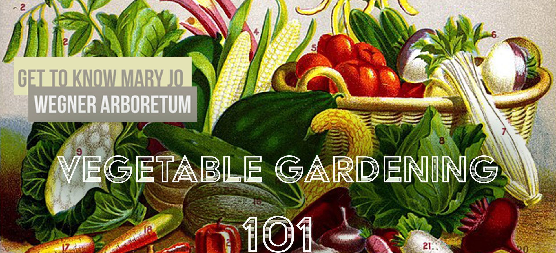 Vegetable Gardening