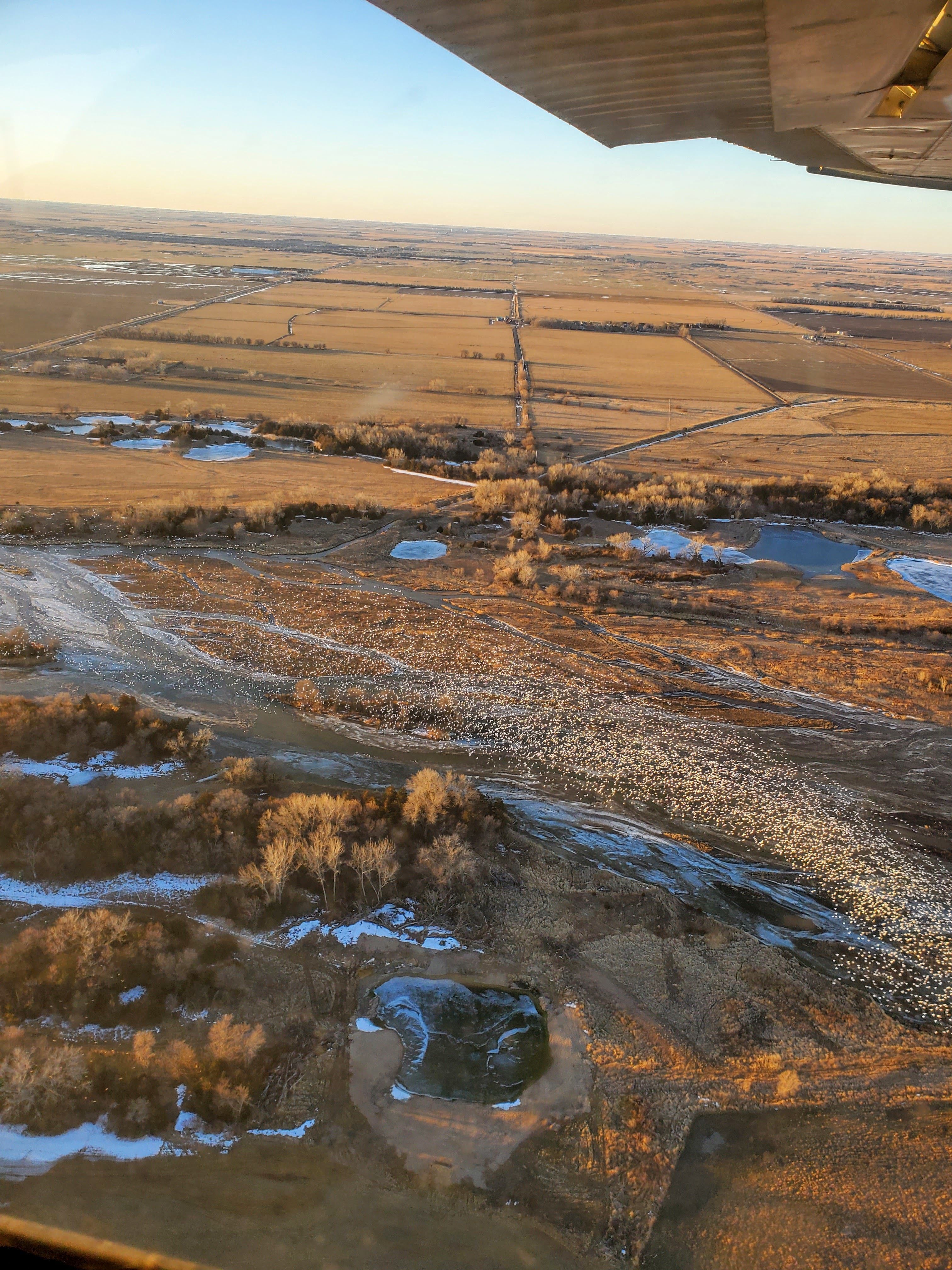 Snapshot of a flock of white geese flying above the river and below the plane during the flight on Monday 2/27/23