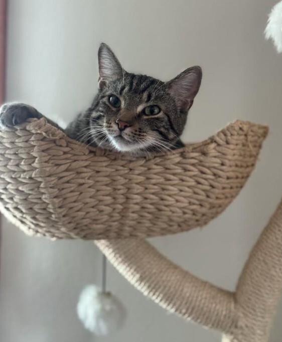 Carl