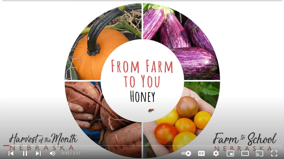 Farm to You - Honey, UNL Bee Labs
