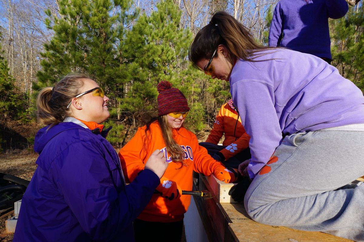 Three female rowers work together to hammer nails into the floor joists. 