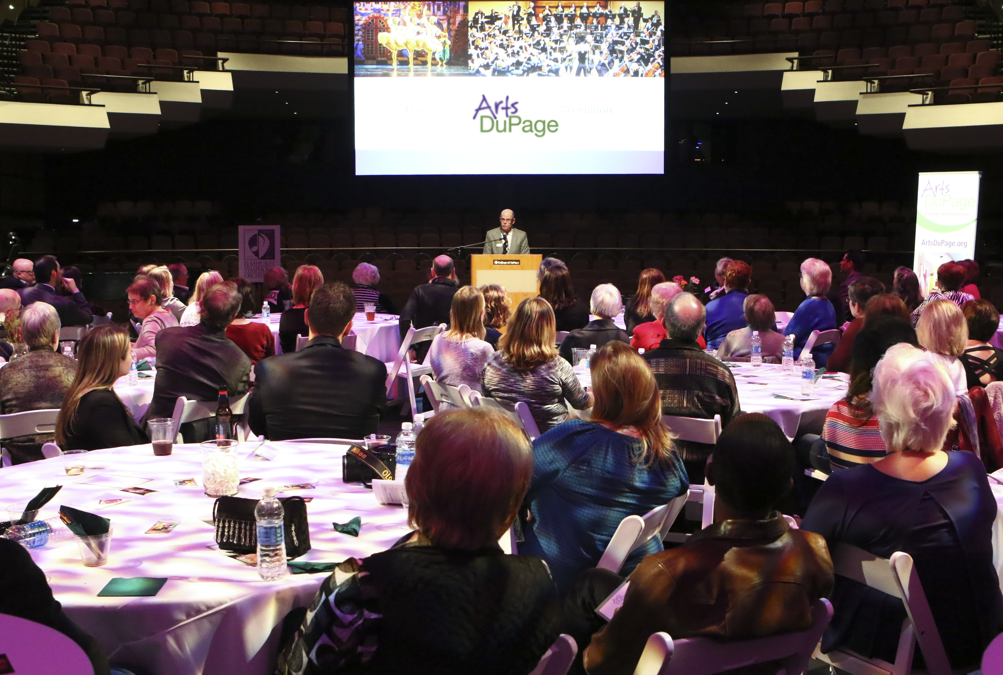 DuPage Foundation Celebrates Launch of New Arts DuPage Online Resource