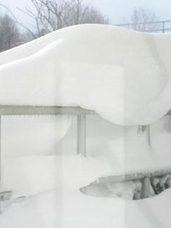 Daily Prayer January 27