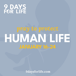 9 Days for Life - Pray to protect human life. January 16 - 24