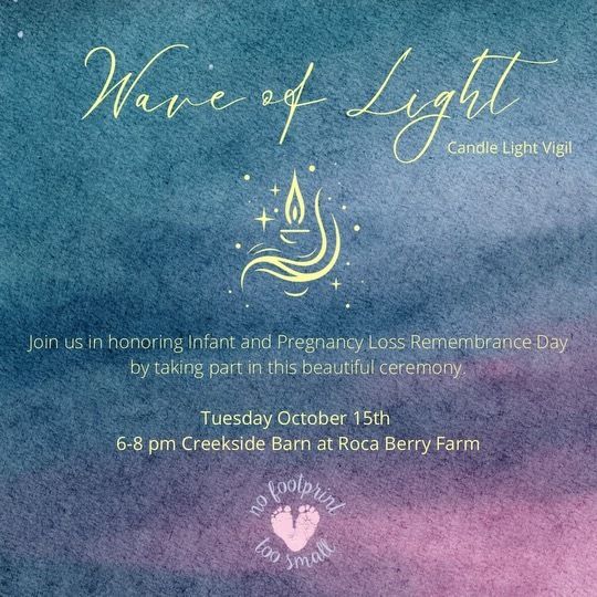 Save the Date!  Wave of Light 2024