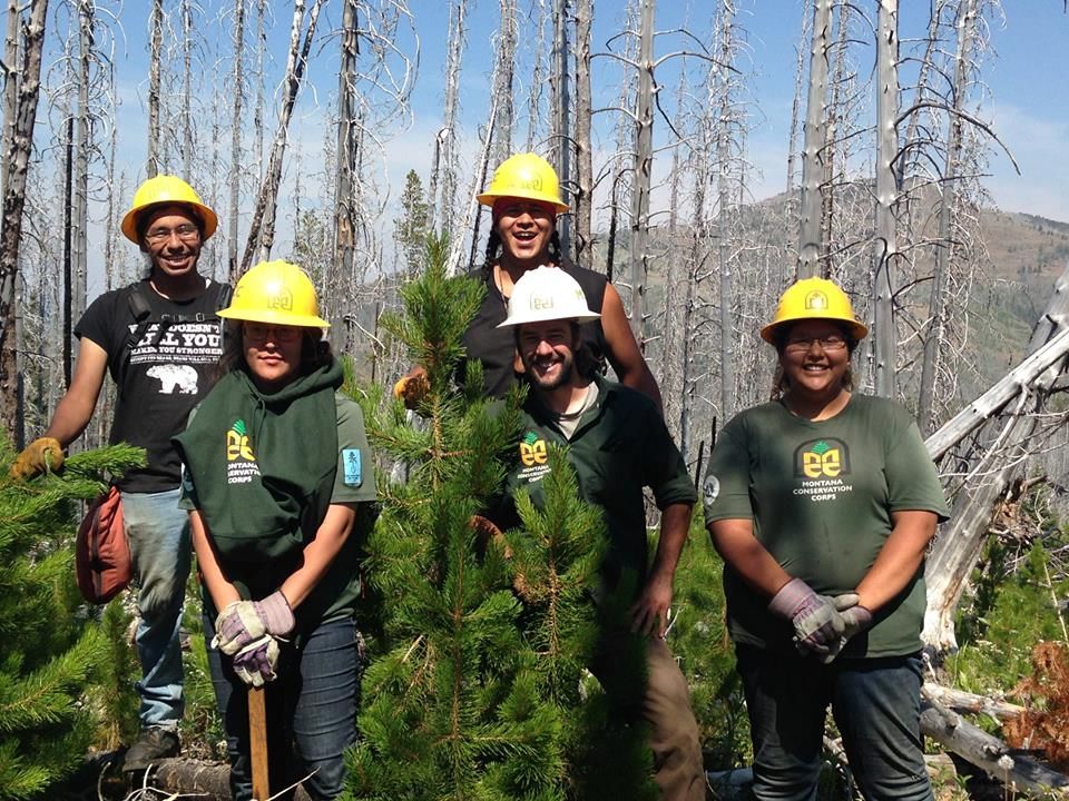 [Image Description: Five MCC members stand for a photo, smiling amount the forest that surrounds them. All are wearing hard hats and some have trail tools beside them.]