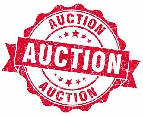 The North Penn School District Educational Foundation Annual Online Auction is coming soon...