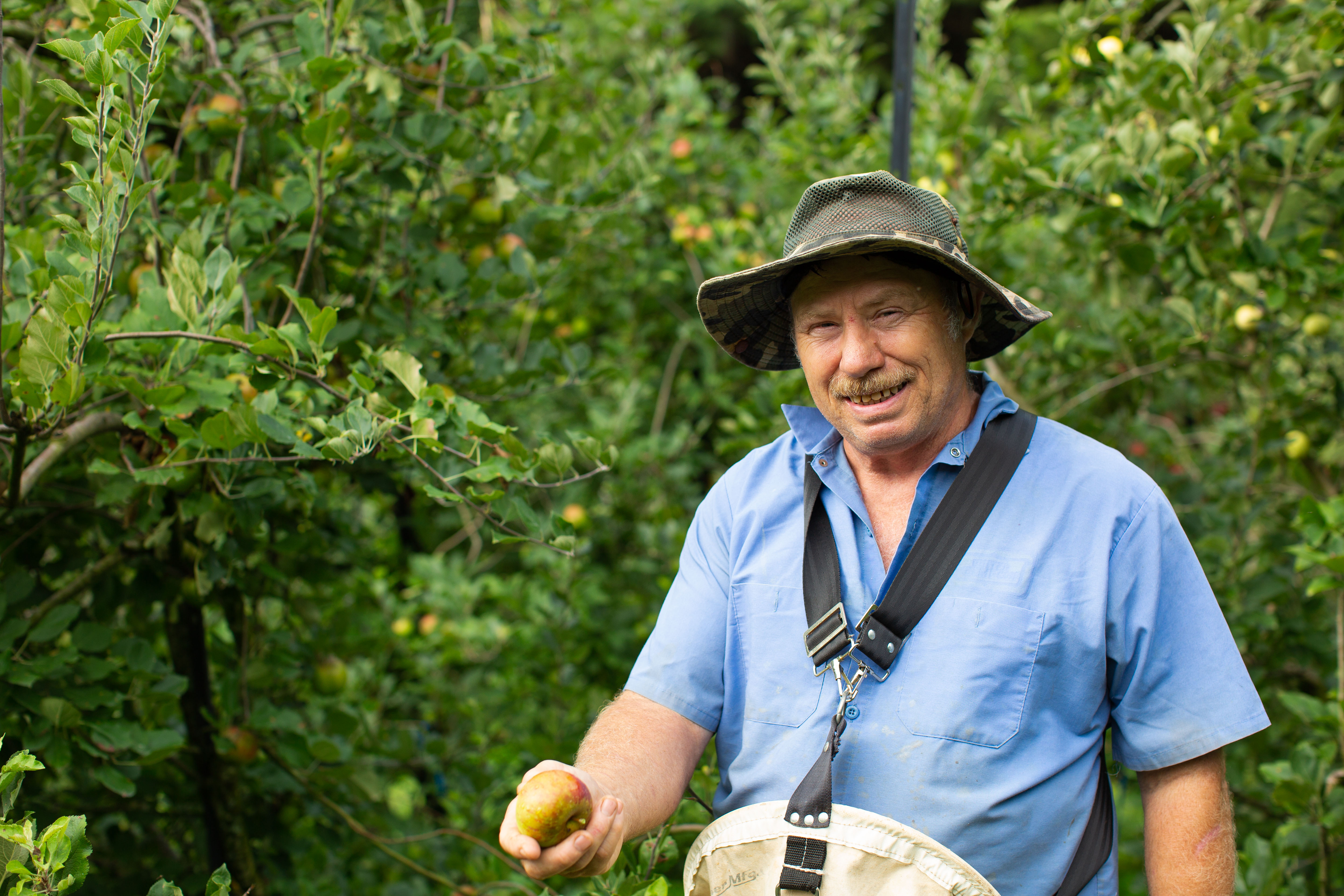 Scholars & Scones: Apple Tasting with Moretz Mountain Apples